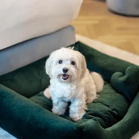 Verte, Warsaw, Autograph Collection Hotel